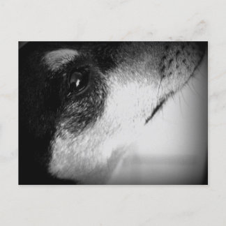 Carte Postale Cartão Postal : Thor