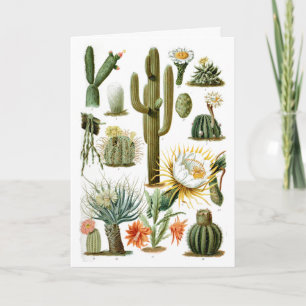 Carte postale Carte graphique Cactus vintage