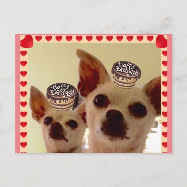 CARTE POSTALE CARTE-POSTALE- (Devant)