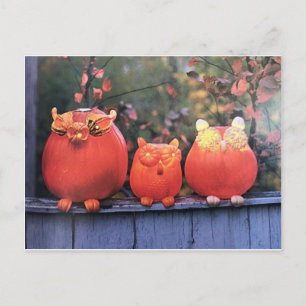 CARTE POSTALE ****CARTE POSTALE CITROUILLE HALLOWEEN***