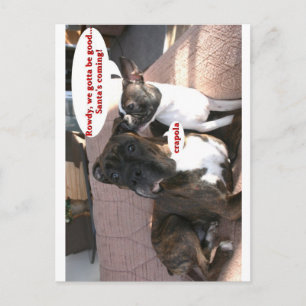 Carte Postale Cartes: Crapola