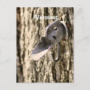 Carte Postale Cartographie d'érable du Vermont