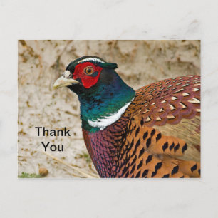 Carte Postale Carton de remerciement Faisan 3