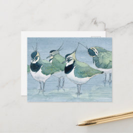 Carte Postale Carton d'invitation à l'aquarelle faune amoureux d