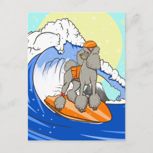 Carte Postale Cartoon chien caniche surf