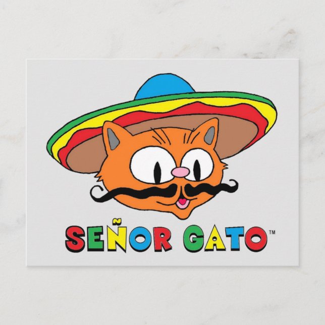 Carte Postale Cartoon coloré Cinco de Mayo (Devant)