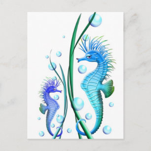 Carte postale Cartoon Seahors