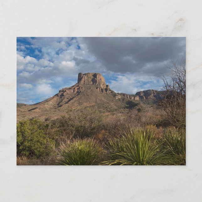 Carte Postale Casa Grande Peak, Bassin du Chisos, Big Bend (Devant)