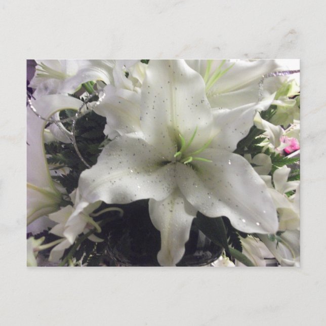 Carte postale Casablanca Lily (Devant)