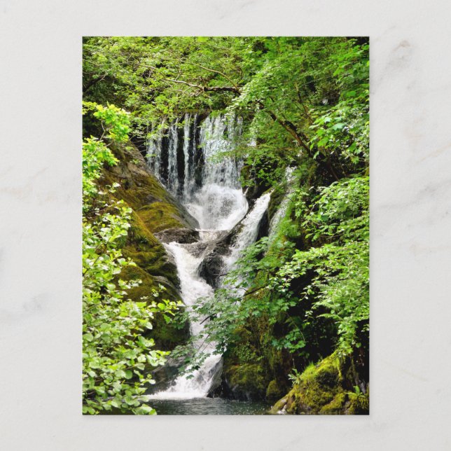 CARTE POSTALE CASCADE (Devant)