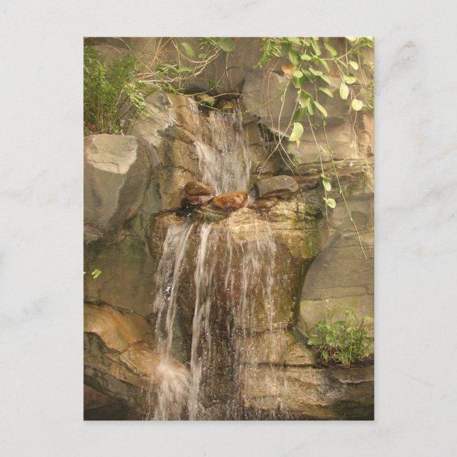 Carte postale cascade ! (Devant)