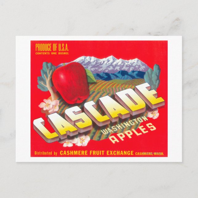 Carte Postale Cascade Apple Étiquette (rouge) - Cashmere, WA (Devant)