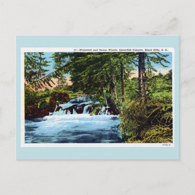 Carte Postale Cascade, bois, Canyon de poisson rouge, Black Hill (Devant)