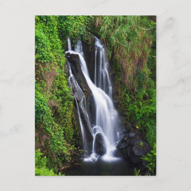 Carte Postale Cascade, côte de Hamakua, Hawaï (Devant)