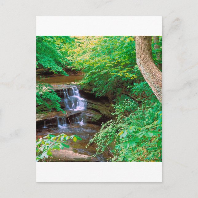 Carte Postale Cascade Dans Le Parc D'État De Rock Affamé Illinoi (Devant)