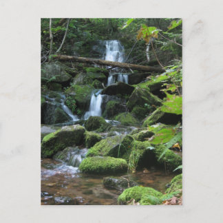 Carte Postale Cascade de cascade dans le paysage forestier luxur