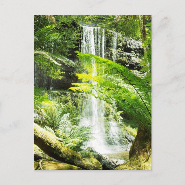 Carte Postale Cascade de la forêt tropicale (Devant)
