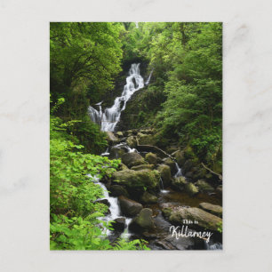 Carte Postale Cascade de Torq - Killarney Irlande