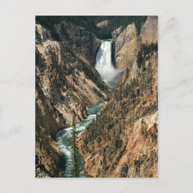 Carte Postale Cascade de Yellowstone (Devant)
