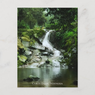 Carte Postale Cascade d'eau verte luxuriante fraîche