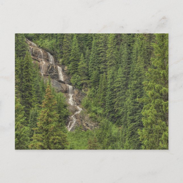 Carte Postale Cascade des Rocheuses (Devant)