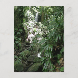 Carte Postale Cascade En Dominique
