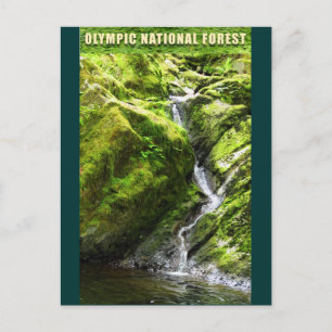 Carte Postale Cascade FORESTIÈRE OLYMPIQUE NAT'L