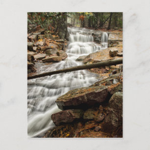 Carte Postale Cascade forestière paisible
