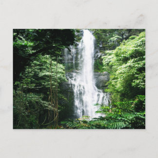 Carte Postale Cascade hawaïenne