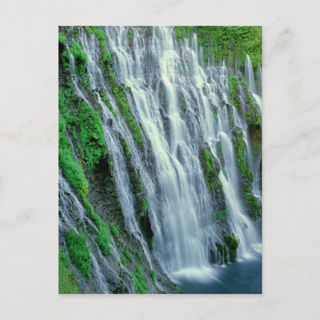 Carte Postale Cascade pittoresque, Californie (Devant)