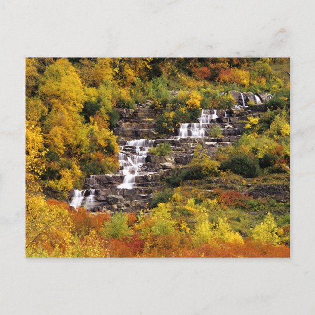 Carte Postale Cascade sous le mont Cannon dans le Glacier Nation (Devant)