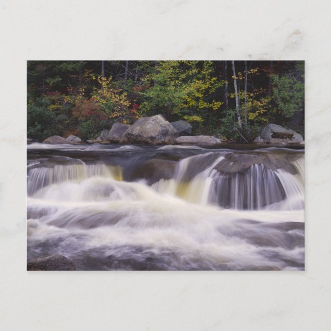 Carte Postale Cascades, Route Kancamagus, Blanc (Devant)