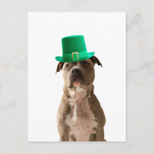 Carte Postale Casquette de la Saint-Patrick Jour du Chien Taurea