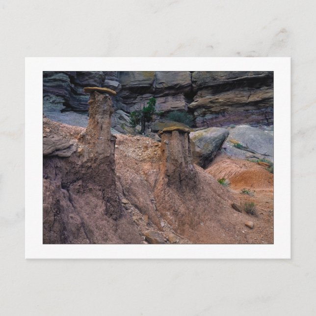 Carte Postale "Casquettes de boue" (Devant)