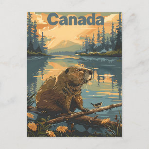 Carte Postale Castor Canada