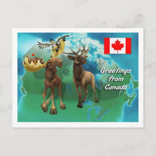 Carte Postale Castor et oie de l'orignal canadien
