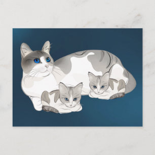 Carte Postale cat and kittens