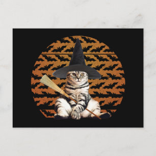 Carte Postale Cat Halloween