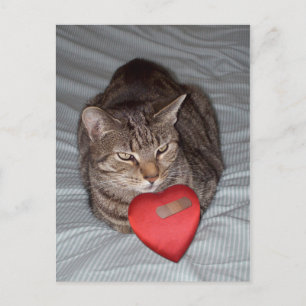 Carte Postale Cat Heart Bandaid