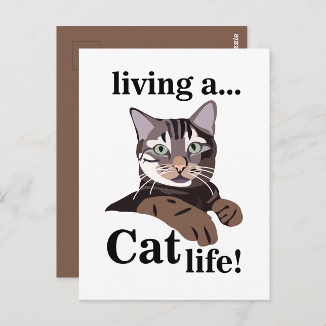 Carte Postale Cat Kitty Funny (Devant / Derrière)