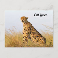 Cat lover cheetah photo