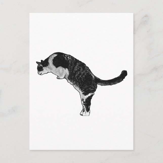 Carte Postale Cat Pose Joy (Devant)