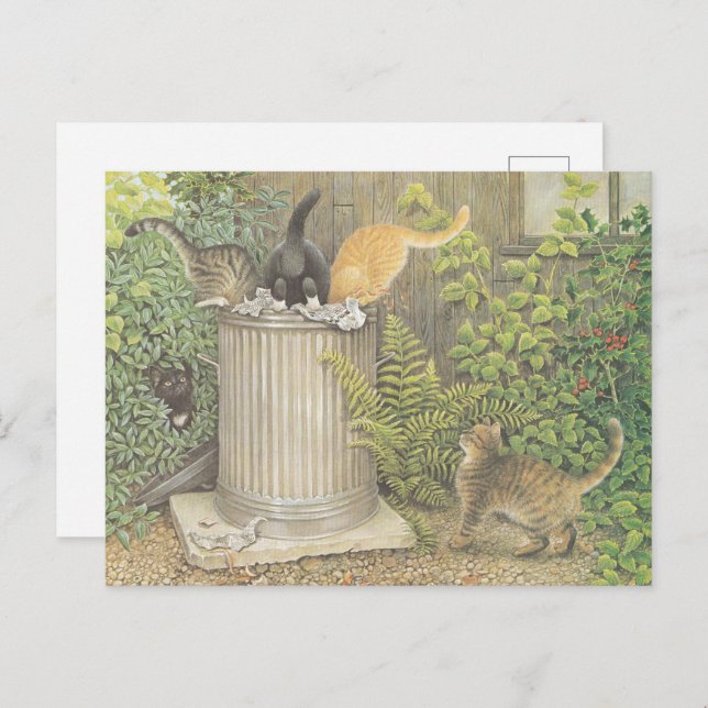 CARTE POSTALE CAT POSTCARD ILLUSTRATION (Devant / Derrière)