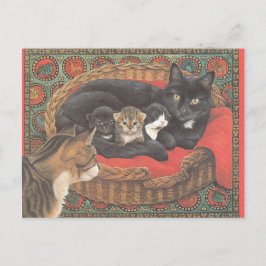Carte Postale Cat Postcards