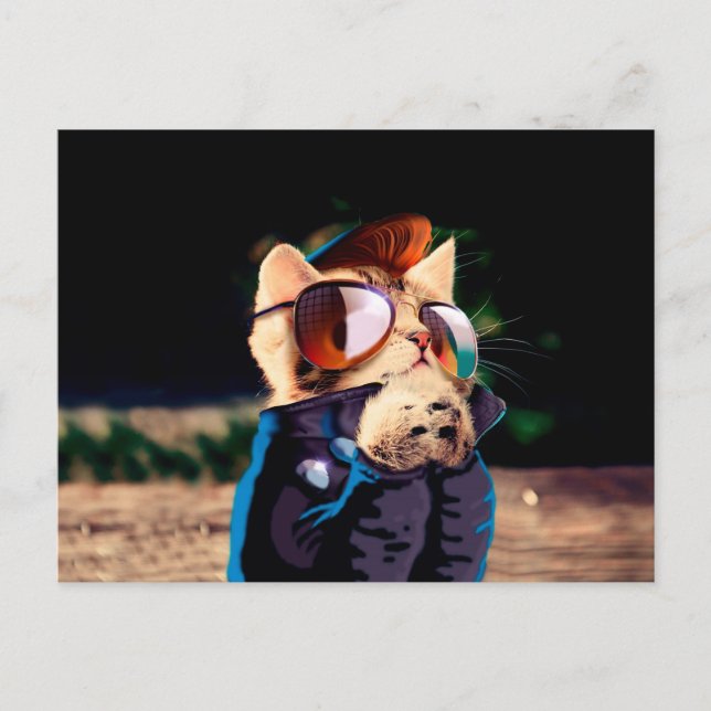 Carte Postale Cat rocker habillé en veste de cuir (Devant)