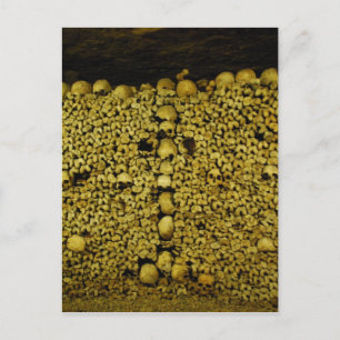 Carte Postale Catacombes de Paris