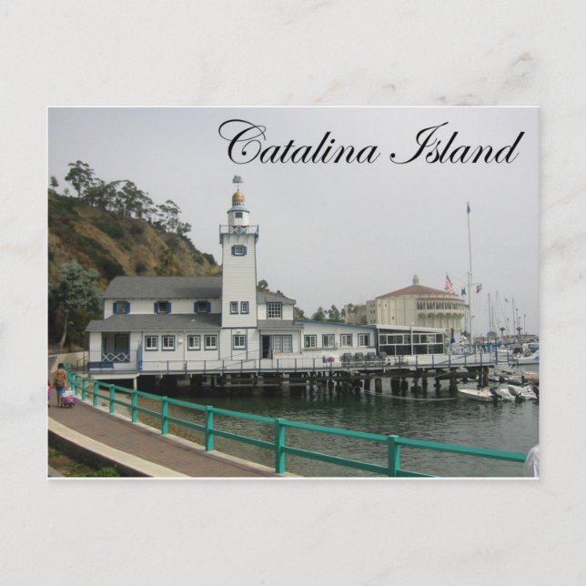 Carte Postale Catalina Island 3 (Devant)