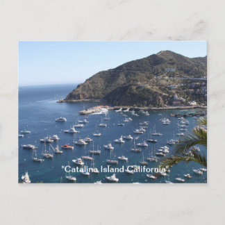 Carte Postale , "Catalina Island California"