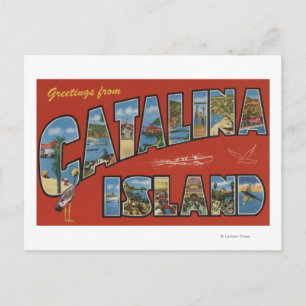 Carte Postale Catalina Island, Californie - Scène aux grandes le