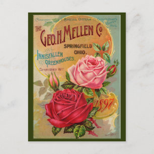 Carte Postale Catalogue rose